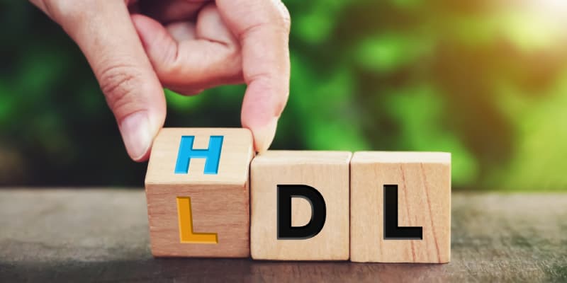 O papel do colesterol HDL e LDL na saúde cardiovascular